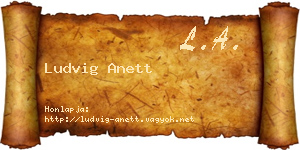 Ludvig Anett névjegykártya